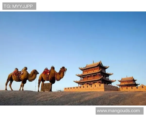 探索奥蓬达的魅力与历史：一场文化与自然的奇妙之旅