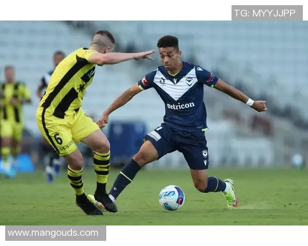 惠灵顿与中央海岸比赛前瞻及比分预测分析，谁将赢得胜利