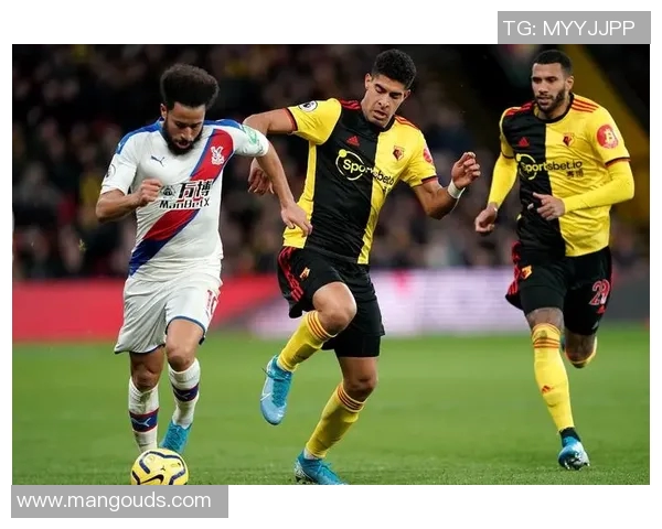 沃特福德迎战曼联足总杯激战前瞻双方实力对比与战术分析