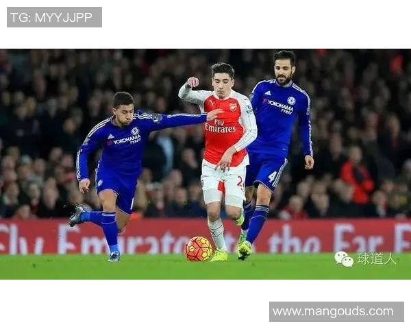 赫尔城与狼队对决前瞻分析及比赛结果预测