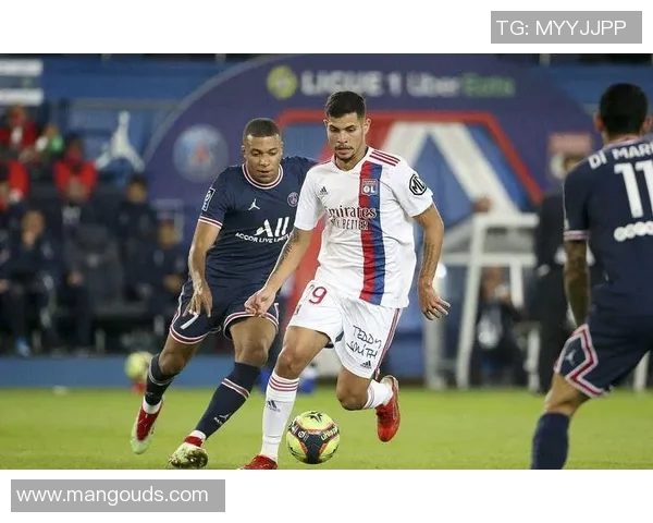 保加利亚与法国竞彩分析及预测精彩对决即将上演 保加利亚与法国竞彩分析及预测精彩对决即将上演