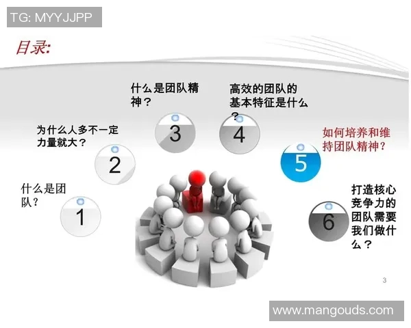 广州篮球队团队协作的重要性与实践探索分析