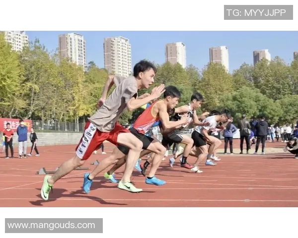 北京乒乓球队奋勇拼搏的历程与荣耀时刻全景回顾