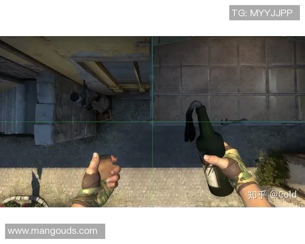 FPX在CSGO比赛中的防守反击策略分析与成效评估