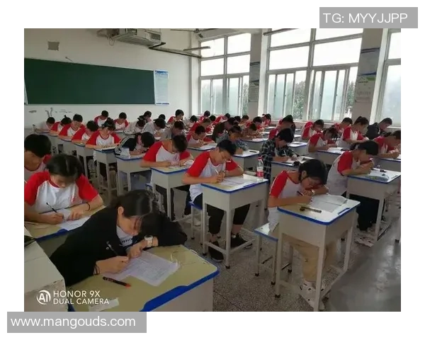 上海篮球队转型之路的纪实与反思：从辉煌到重生的奋斗历程